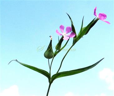  Flowering branch